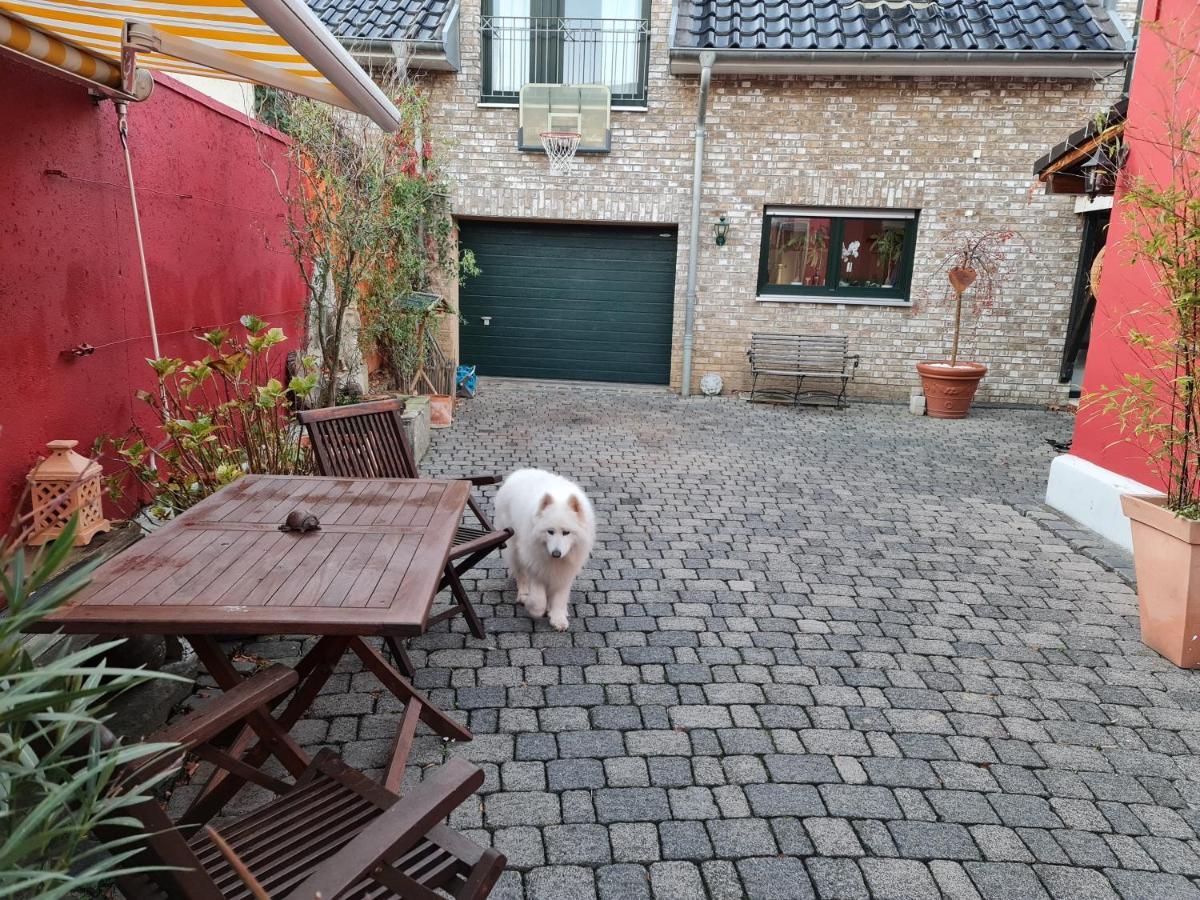 Schoenste Lage Am Rhein, Behagliches Haus Mit Kamin. * Keulen