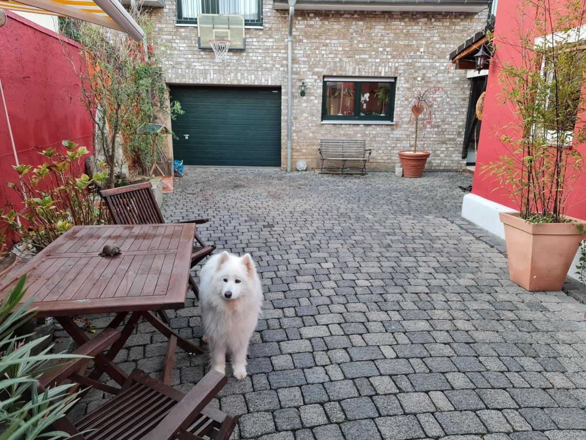 Schoenste Lage Am Rhein, Behagliches Haus Mit Kamin.