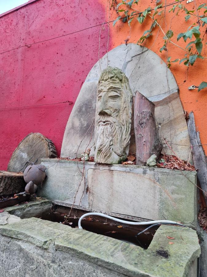 Vakantiehuis Schoenste Lage Am Rhein, Behagliches Haus Mit Kamin.